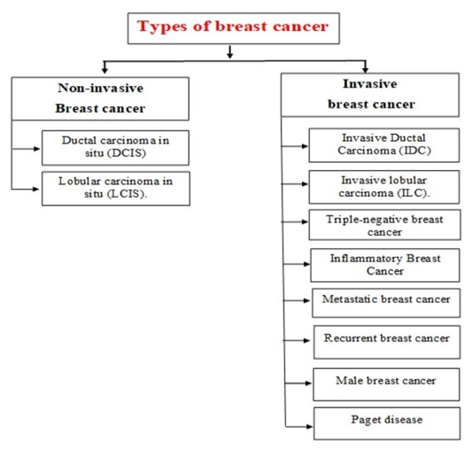 An Overview of a Biomarker in Breast Cancer