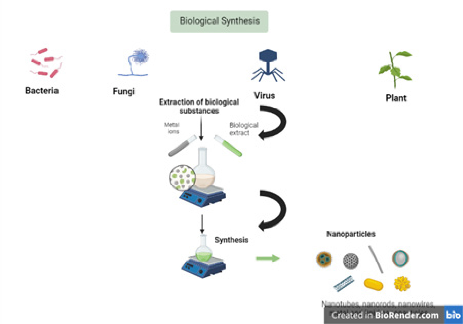 Biosynthesis of Nanoparticles by Micro organisms and its